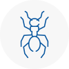 Ant Removals In Upper Edmonton