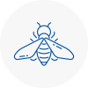 Bee Nest Removal Upper Edmonton