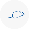 Mice Exterminators In Upper Edmonton