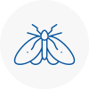 Moth Control Specialists In Upper Edmonton