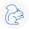 Upper Edmonton Rodent Removals