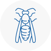 Upper Edmonton Wasp Nest Removal